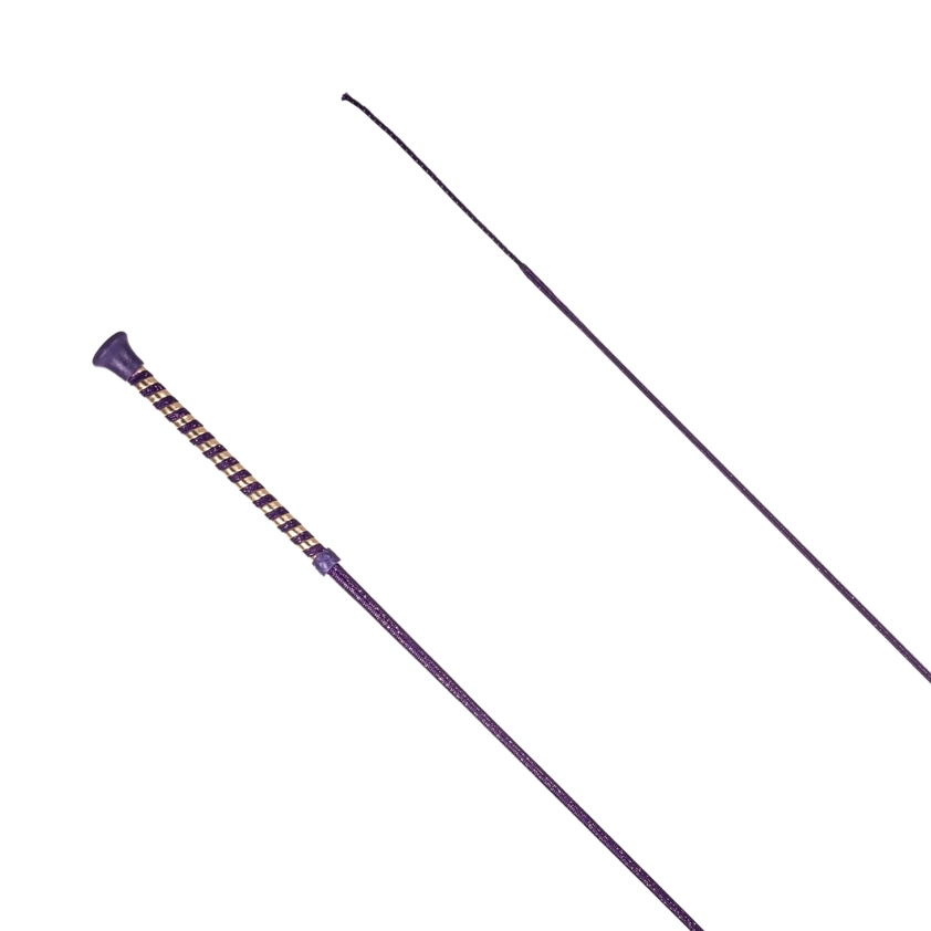 Purple Braid Dressage Sparkle Handle Whip