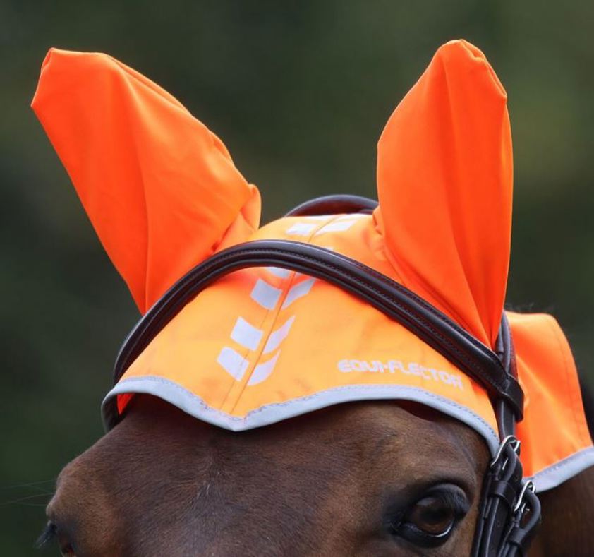 Orange Equi-Flector Fly Veil