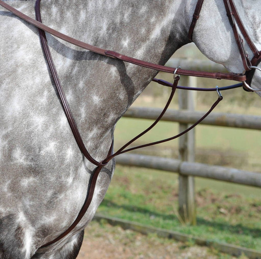 Brown BW Running Martingale