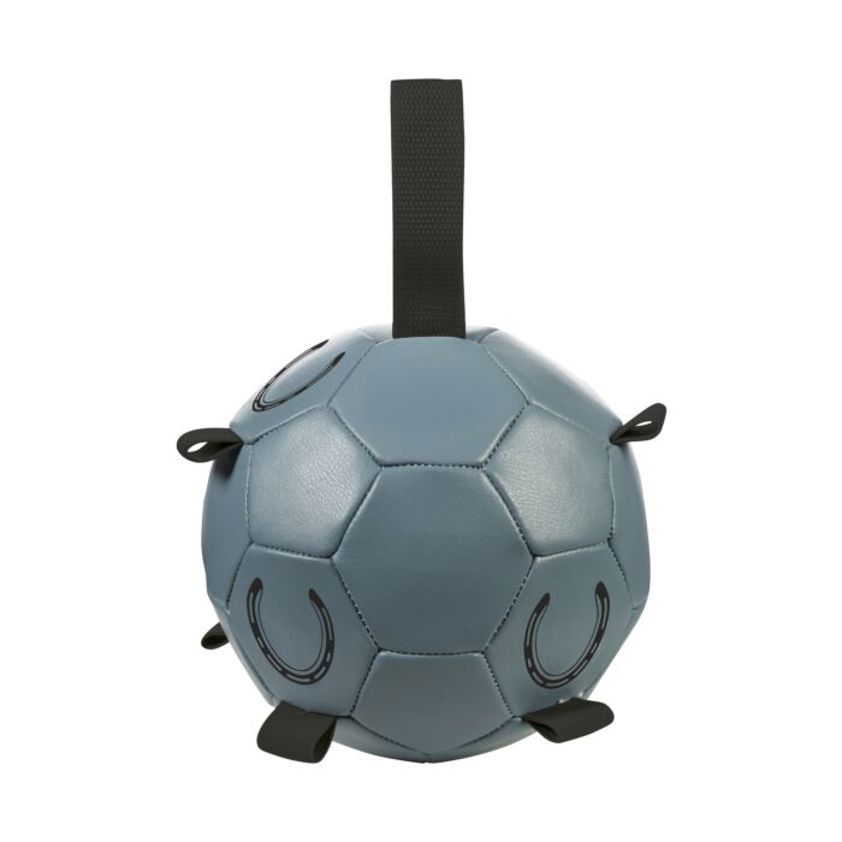 Smokey Blue Ball as Toy for Horses