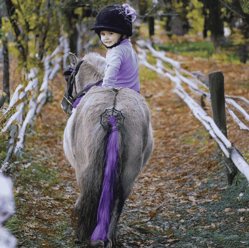 Cobweb Spider Halloween Horse Tail Tassel