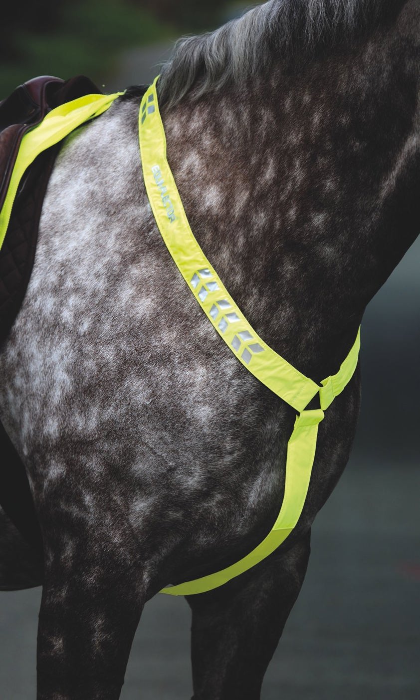 Yellow Equi-Flector Breastplate