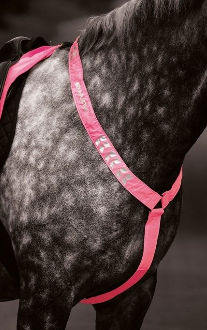 Pink Equi-Flector Breastplate