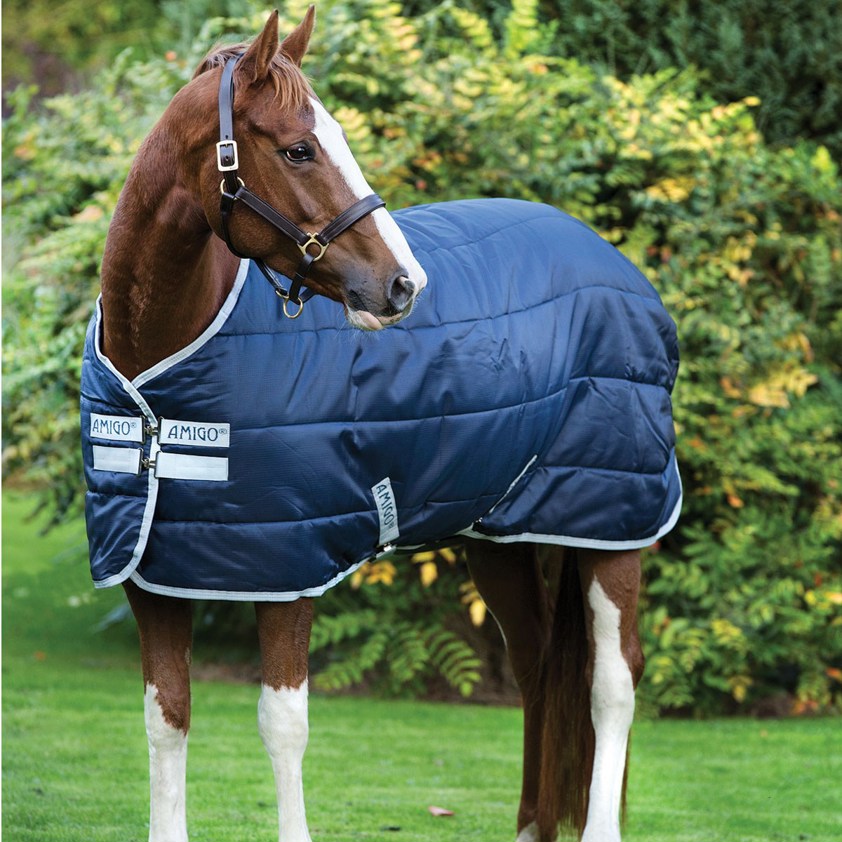 Amigo Insulator Medium Stable Rug