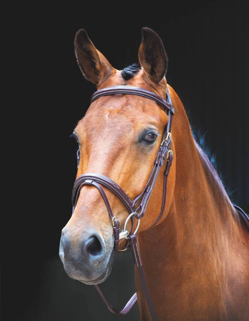 Australian Nut/Brass Salisbury Flash Bridle