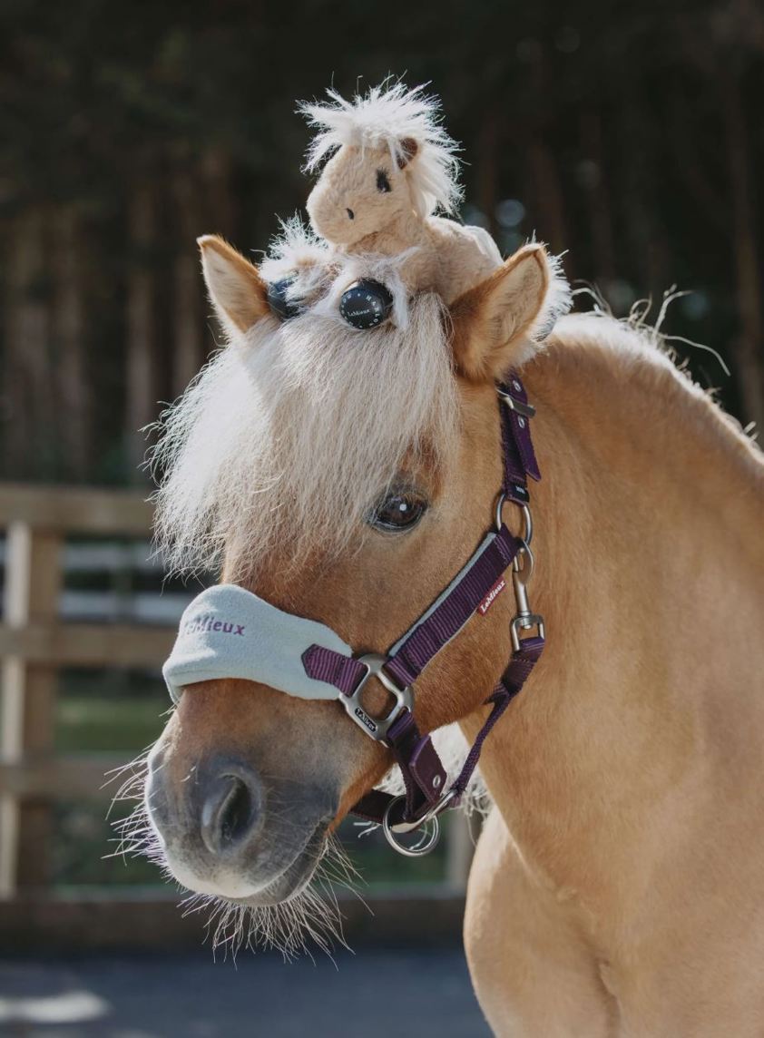 Cloudy Harlow Tiny Beanie Pony
