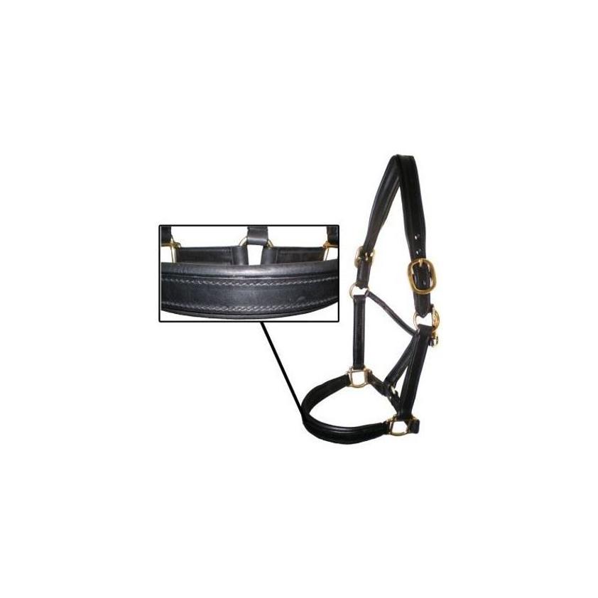 Havana Sheldon English Leather Headcollar