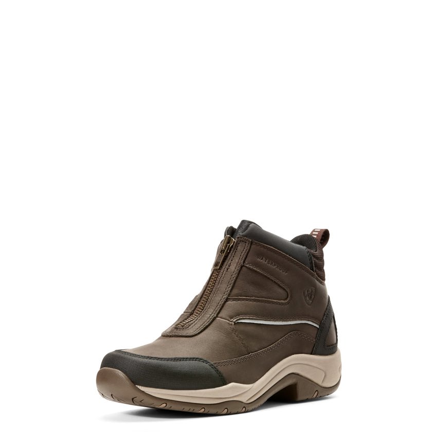 Dark Brown Ariat Zip Telluride H20