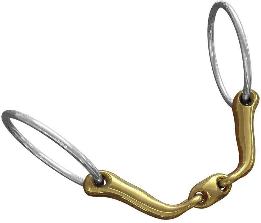 Neue Schule Verbindend