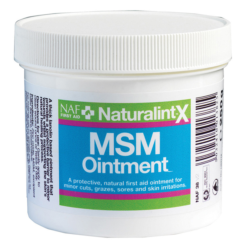 Naturalintex MSM Ointment 250ml