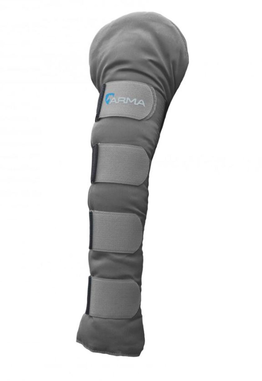 Grey Shires Tail Guard