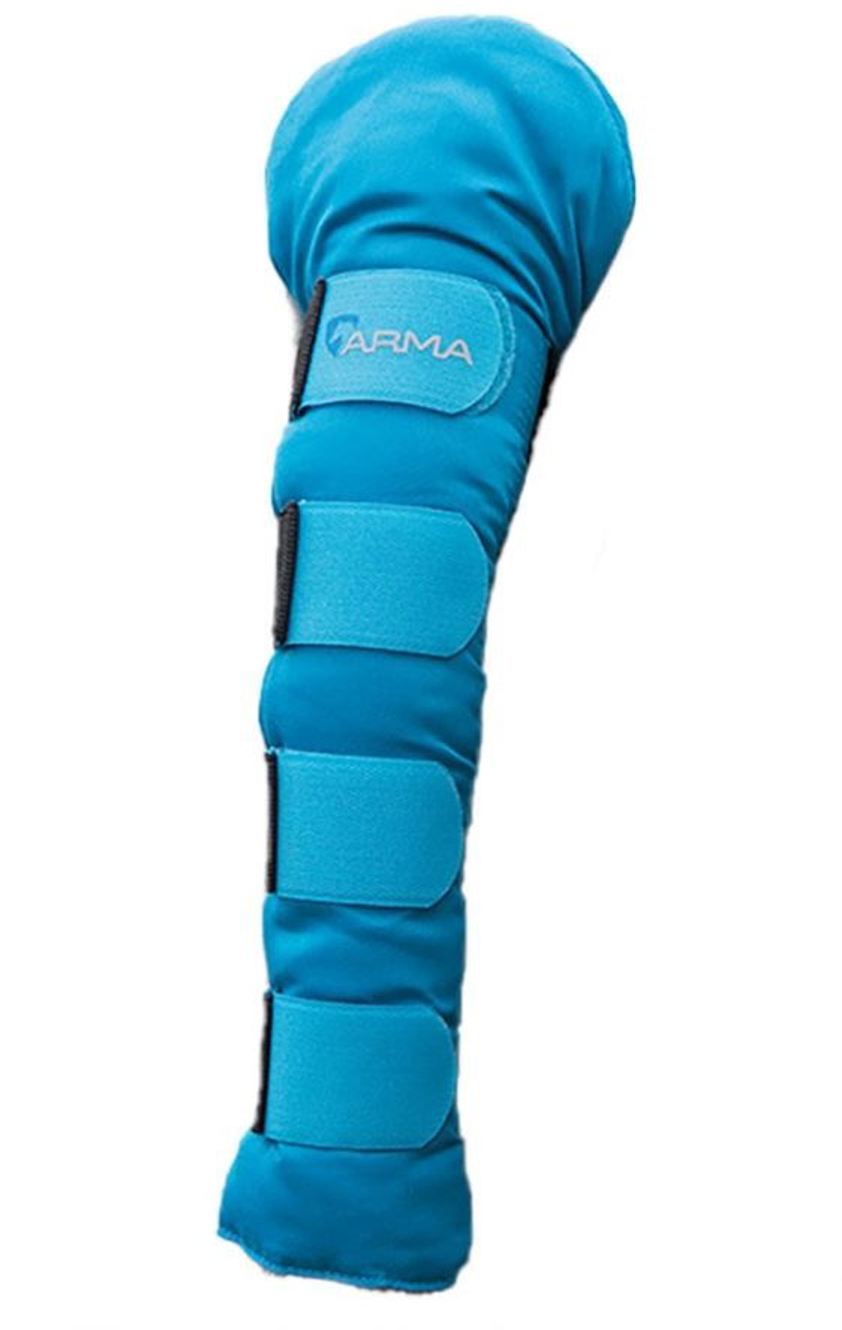 Bright Blue Shires Tail Guard