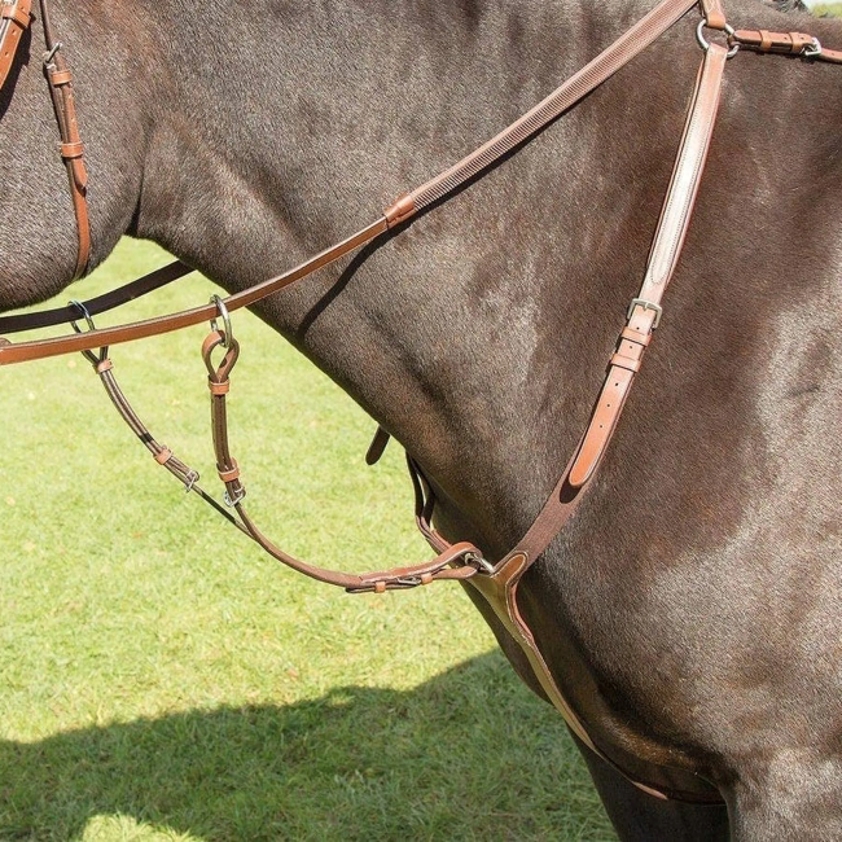 Oak Avignon Breastplate