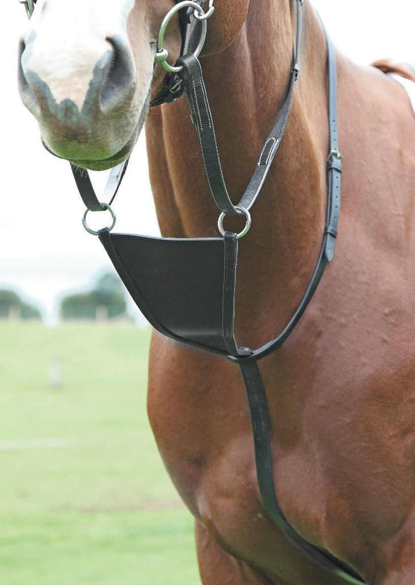 Black Blenheim Bib Martingale