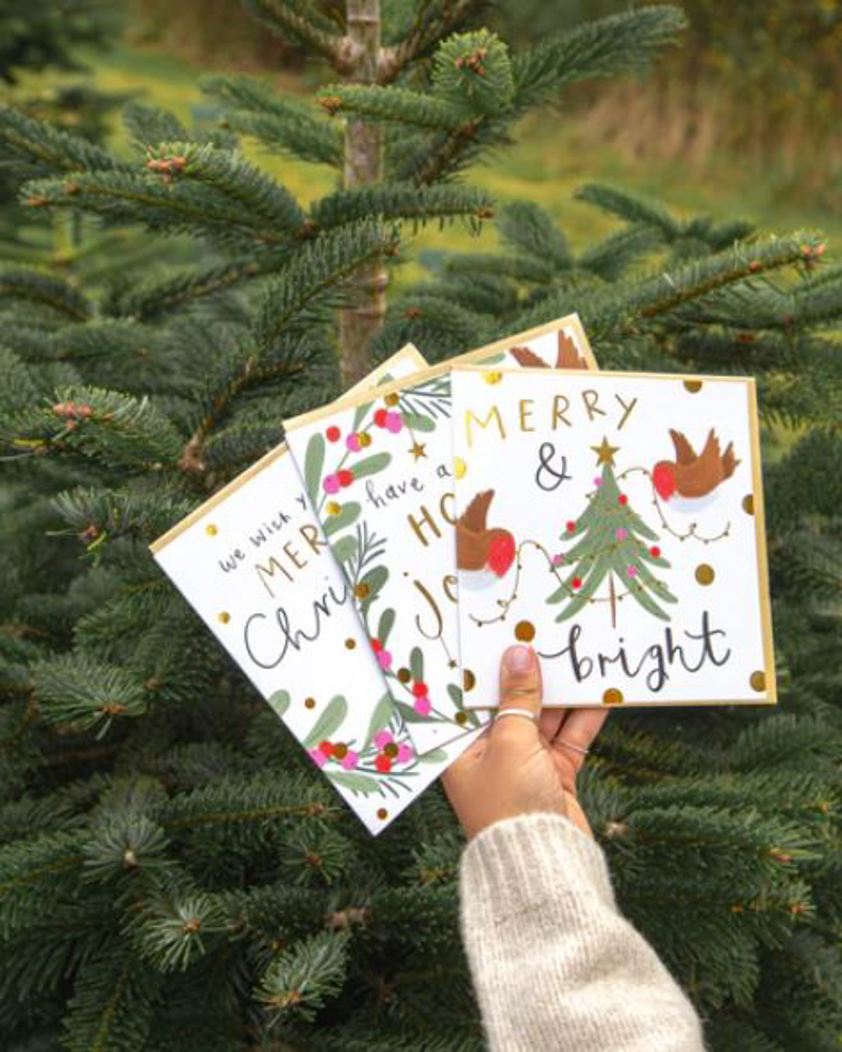 Horse & Berries Whistlefish Christmas Cards