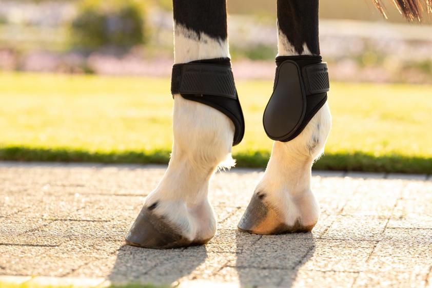 Black LeMieux Arika Fetlock Boot