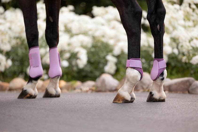 Fondant LeMieux Arika Fetlock Boot