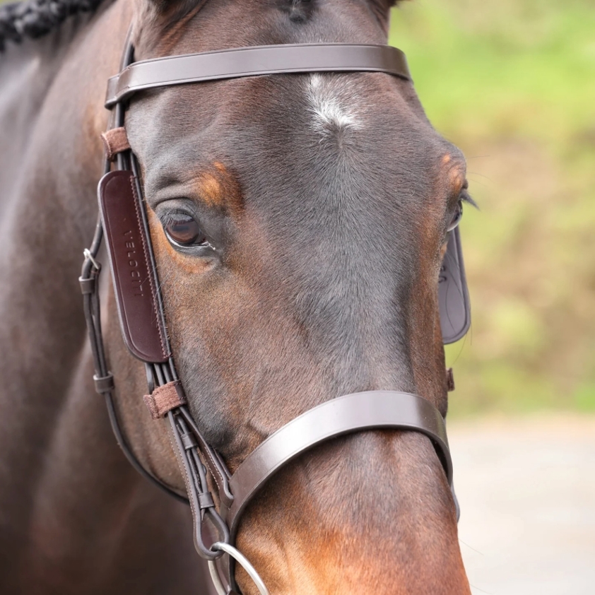 Havana Velociti GARA Leather Blinkers