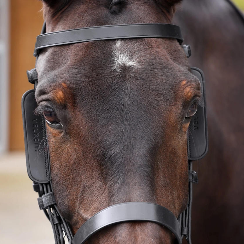 Black Velociti GARA Leather Blinkers