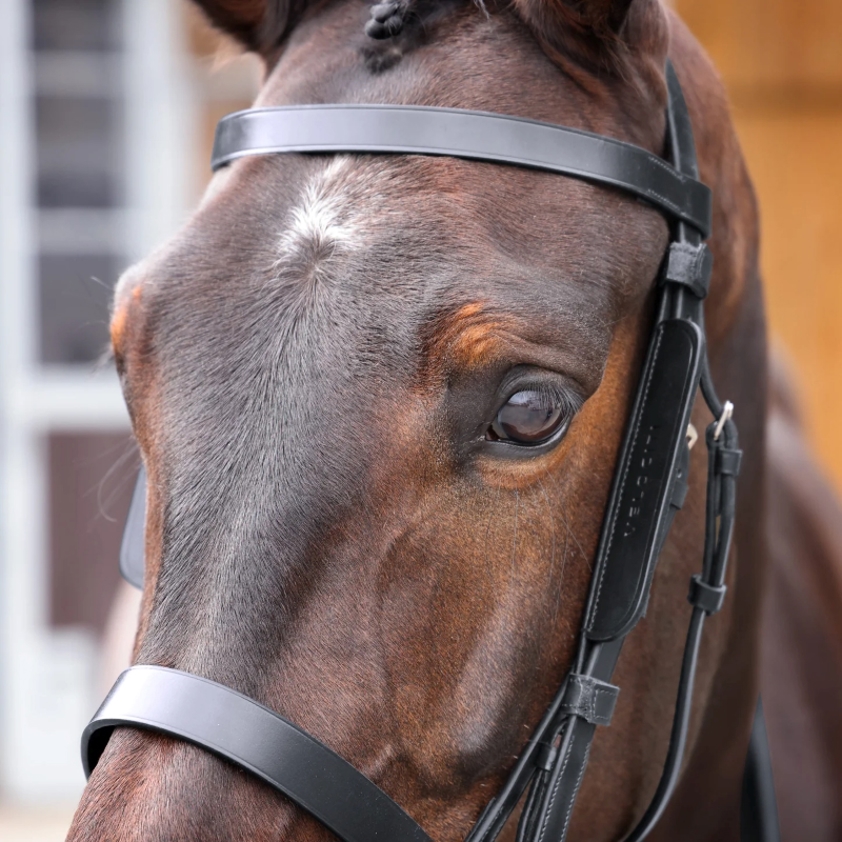 Black Velociti GARA Leather Blinkers