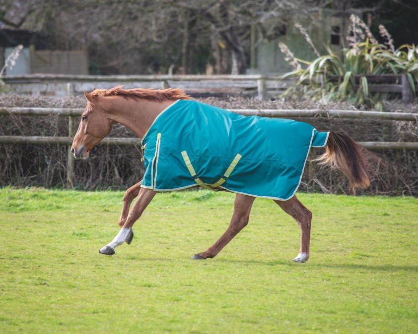 Green Bridleway Ontario 100g Turnout Rug