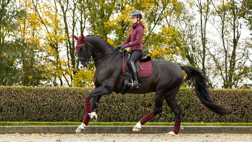 Burgundy LeMieux Crystal Suede Dressage Saddlecloth