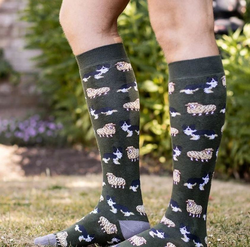 Sheep and Sheepdog Bartleby Funky Long Socks
