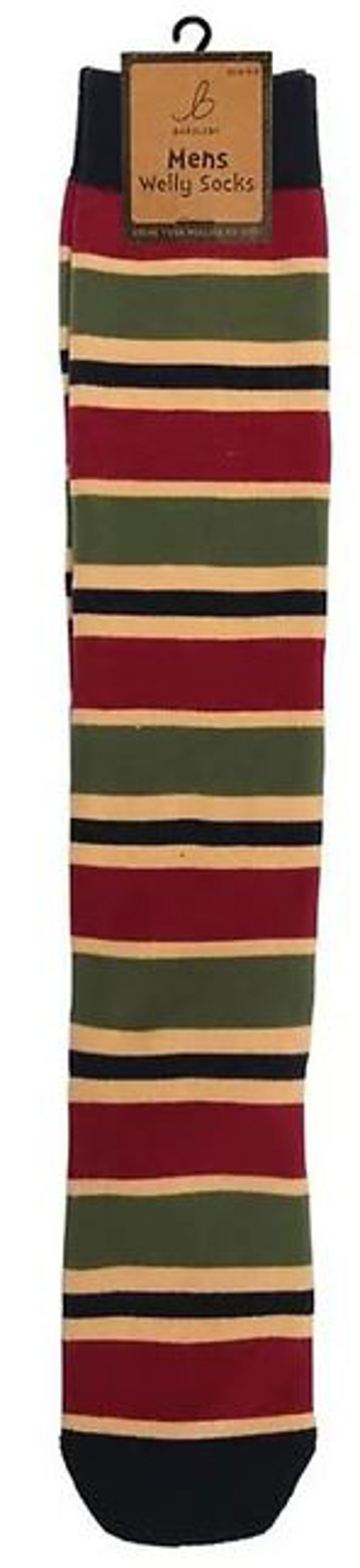 Burgundy/Green/Navy Stripes Bartleby Funky Long Socks