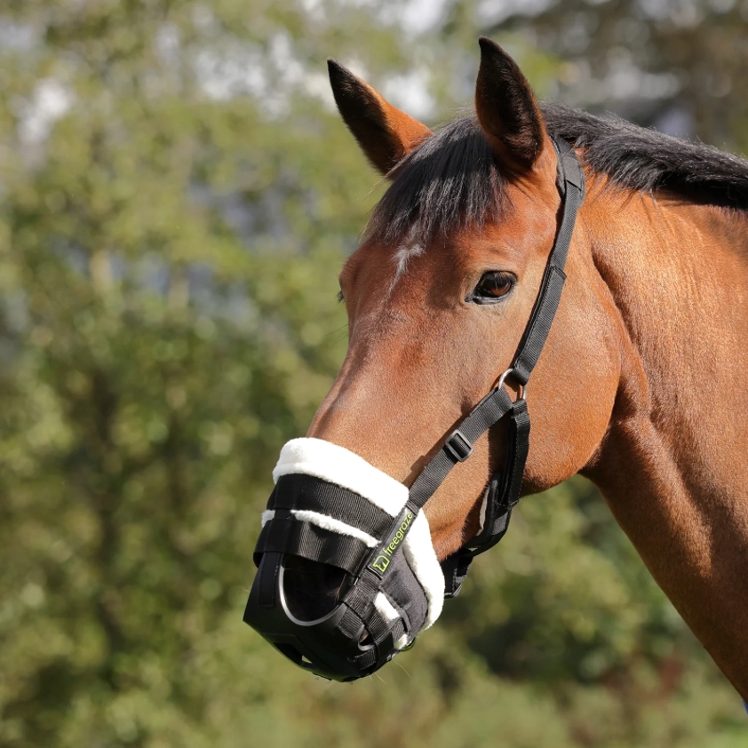 Deluxe Grazing Muzzle with Fleece