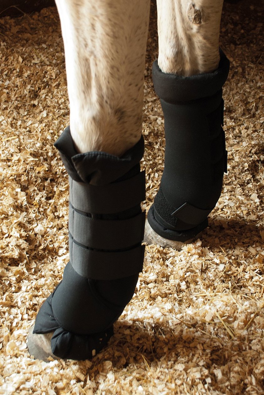 Black Rhinegold Stable Boots