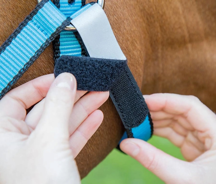 Blue/Black BW Break Free Headcollar