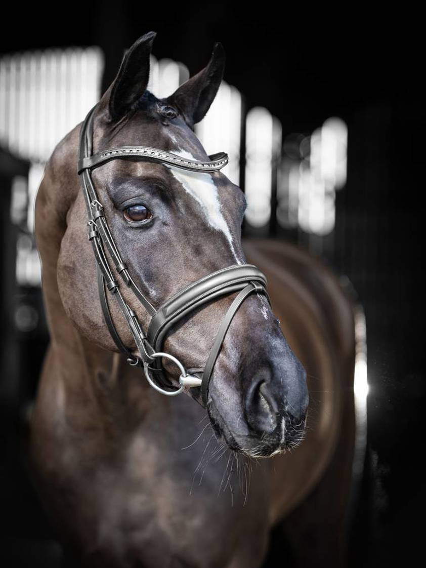 Black/Silver Arika Dressage Bridle