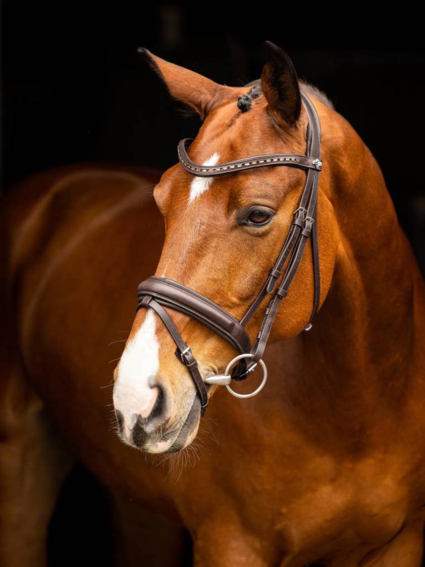 Brown/Silver Arika Dressage Bridle