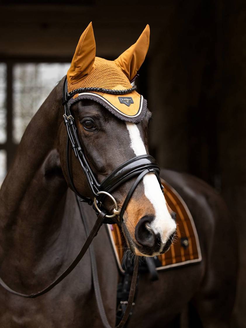 Ginger LeMieux Loire Satin Fly Hood