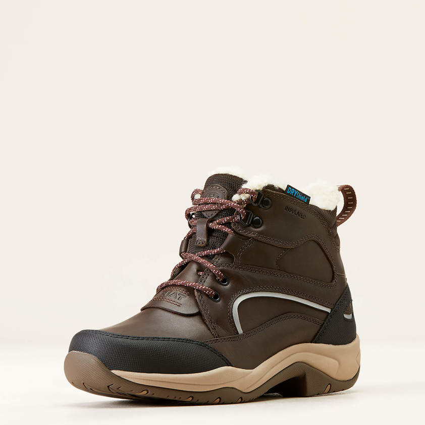 Dark Brown Ariat Telluride H20 Insulated Boot