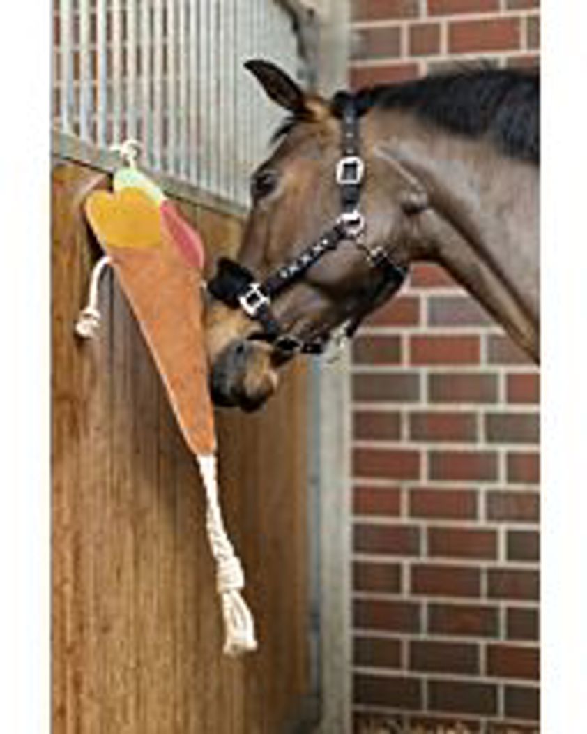 Ice Cream HKM Horse Toy