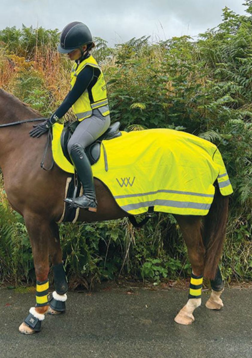 Yellow Woof Wear Hi Vis Exercise Sheet