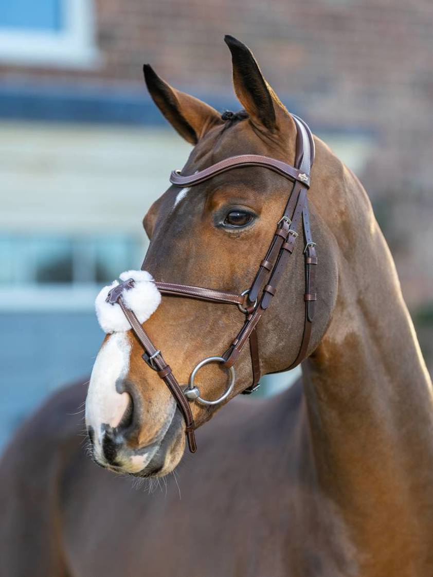 Havana/Silver Arika Grackle Bridle