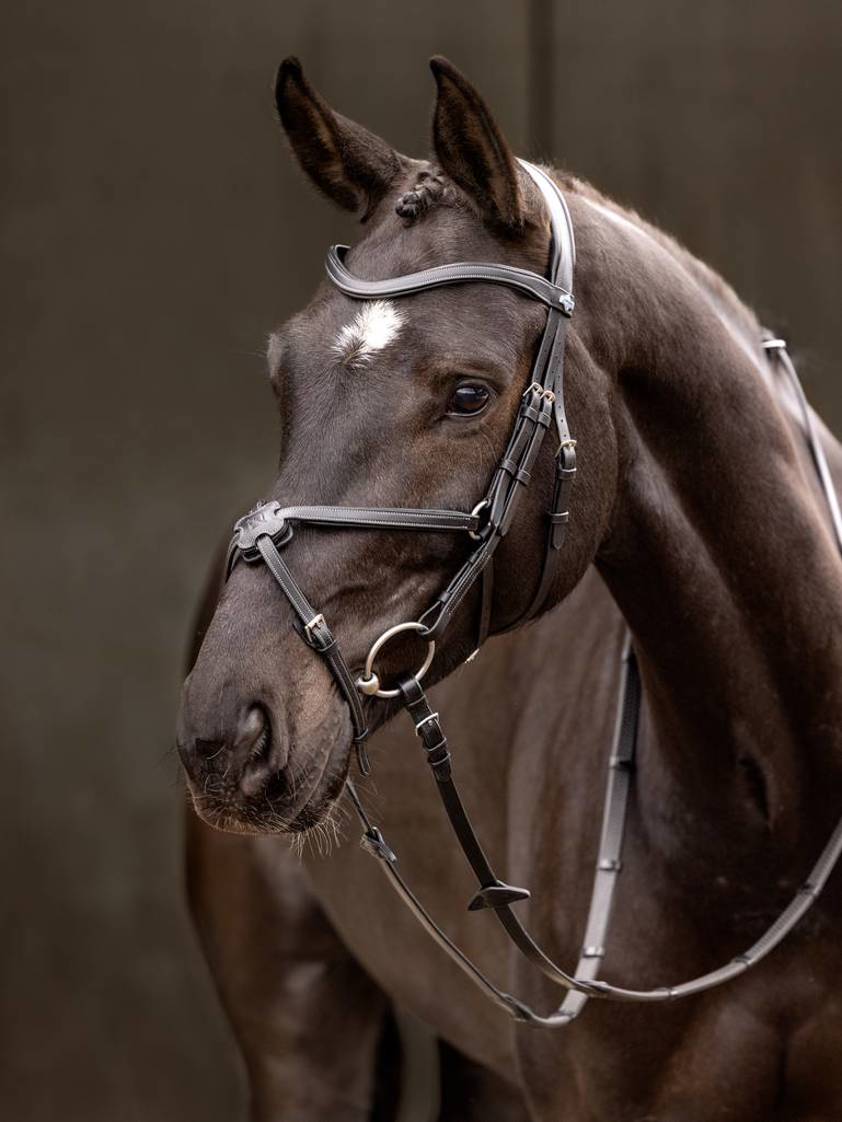 Black/Silver Arika Grackle Bridle