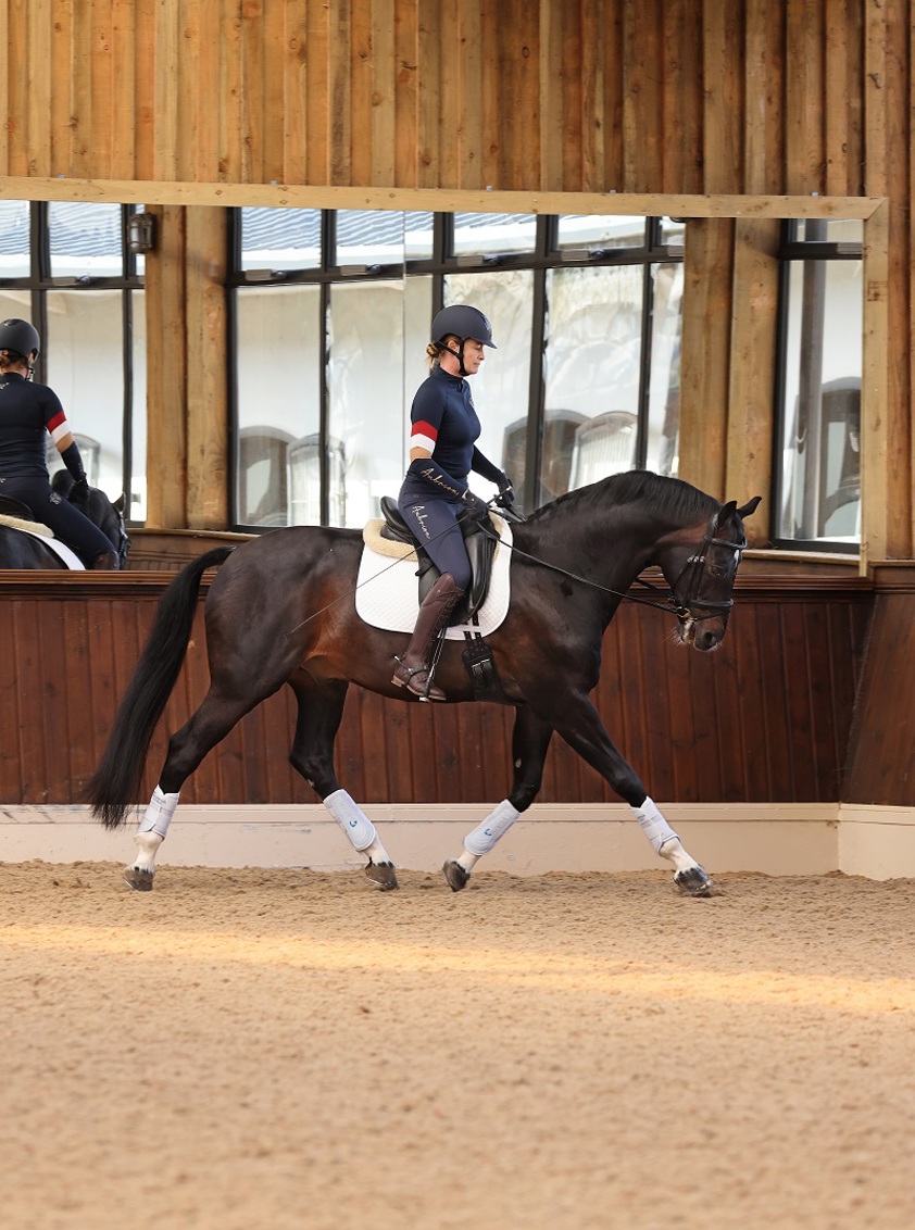 Navy Aubrion Team Shield Riding Tights