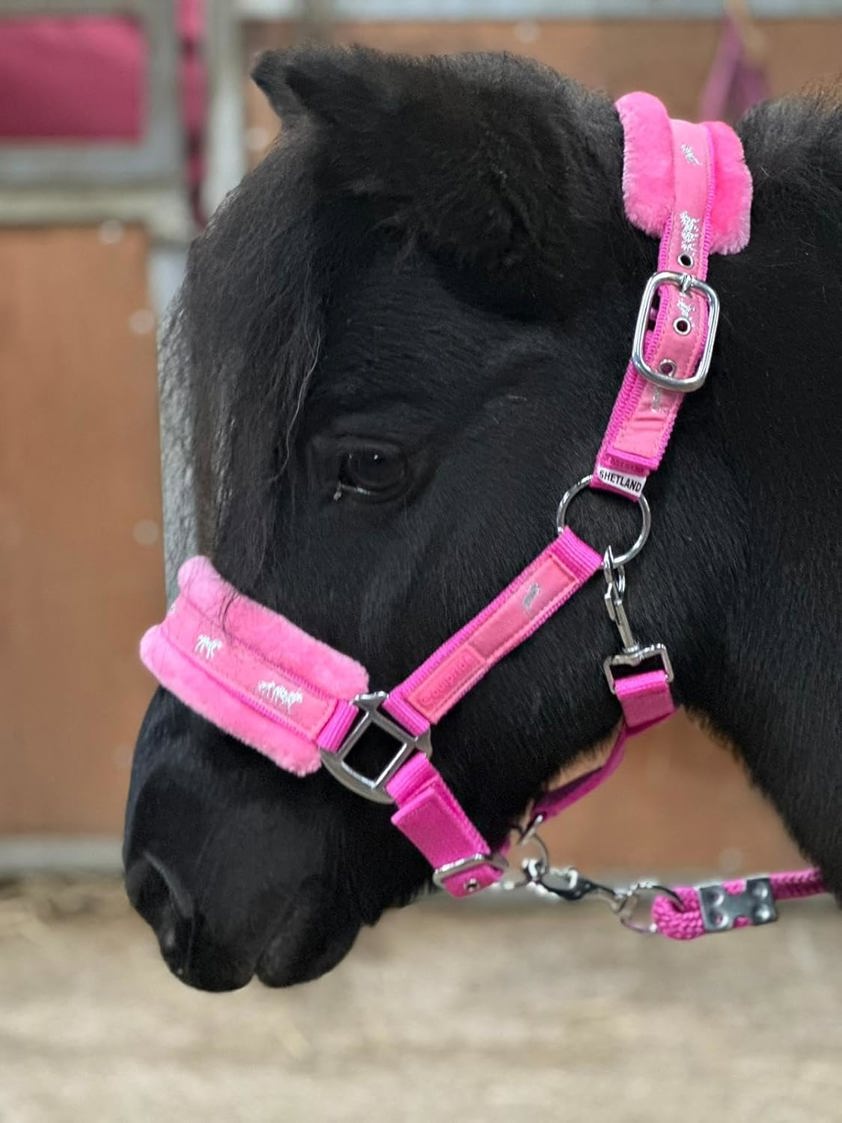 Pink Horse Print Headcollar with Lead Rope