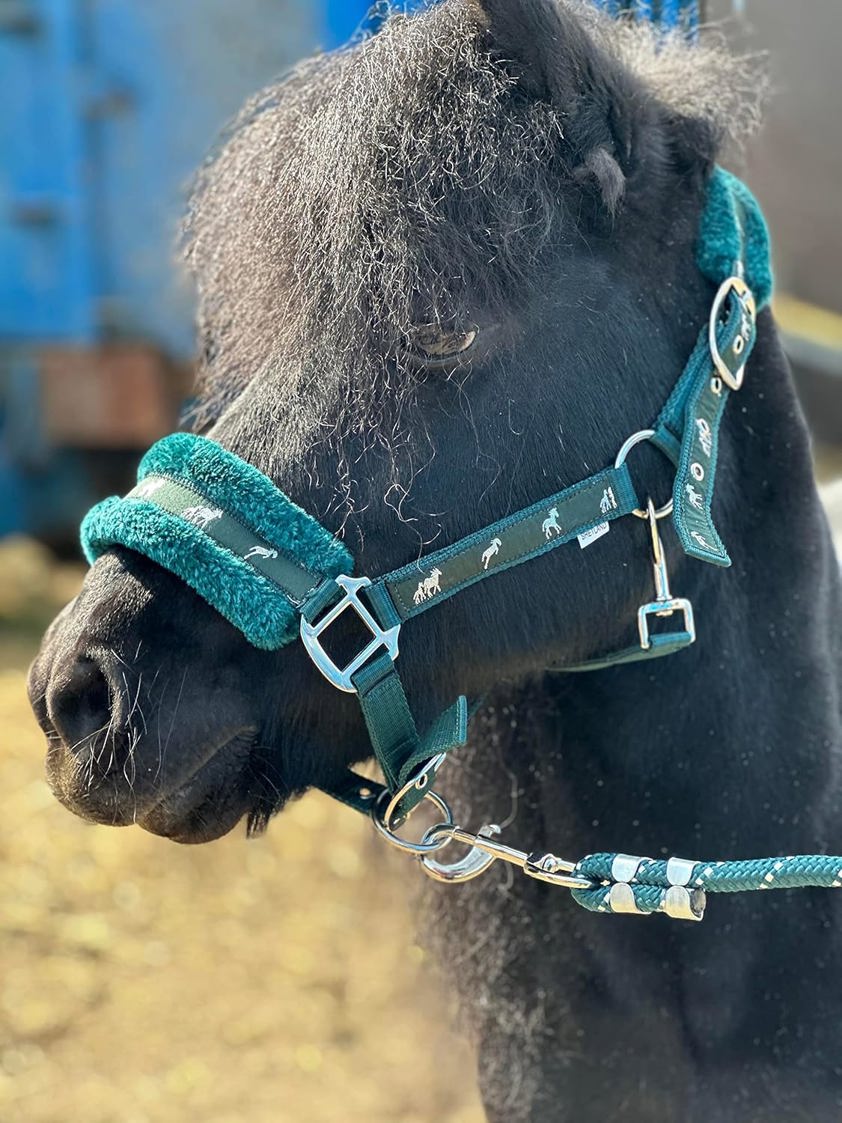 Turquoise Horse Print Headcollar with Lead Rope