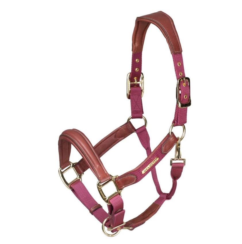Burgundy Velociti Lusso Padded Leather Headcollar