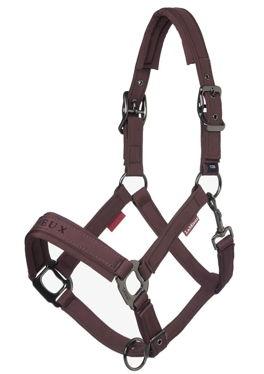 Damson LeMieux Essence Headcollar