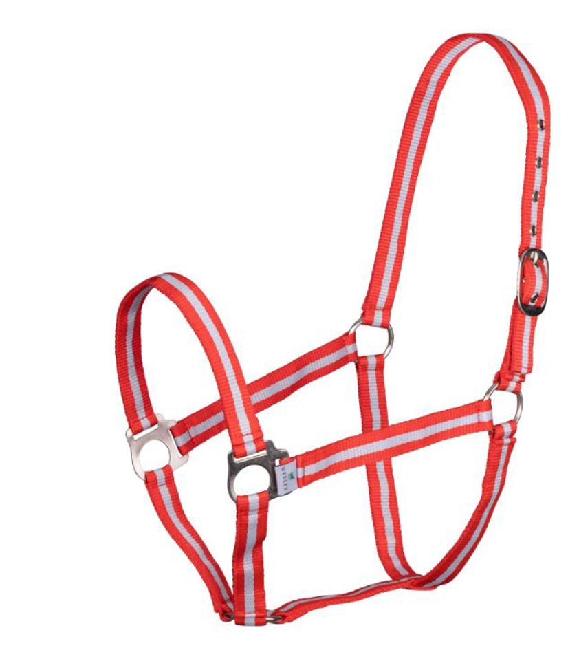 Red/Silver Wessex Headcollar