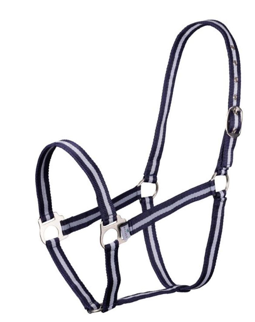 Navy/Silver Wessex Headcollar