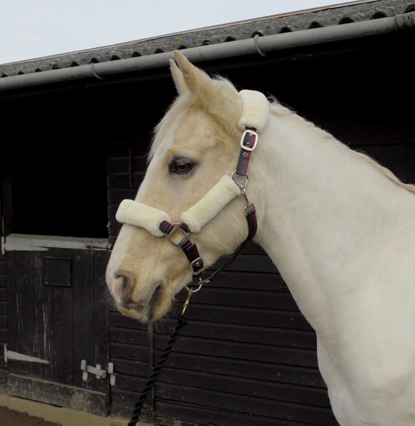 Maroon Striped Rhinegold Fur Headcollar