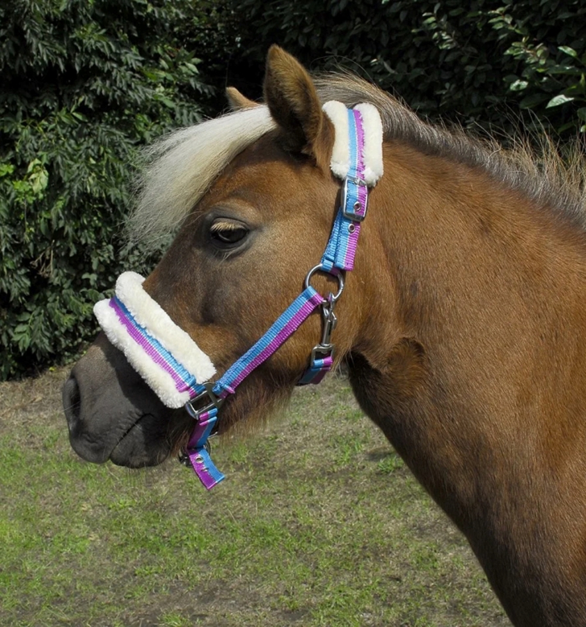 Bright Striped Rhinegold Fur Headcollar