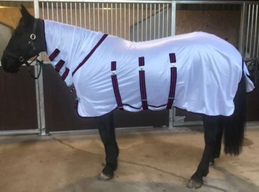 Buxton Combo Fly Rug