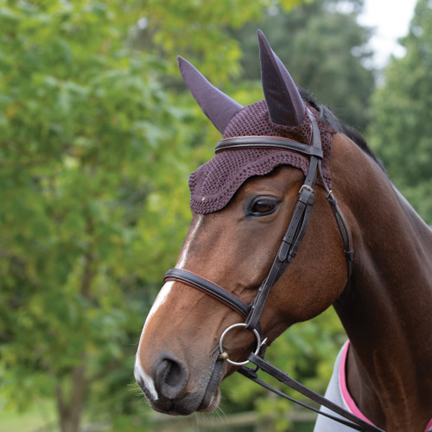 Brown Equetech Soundless Fly Veil